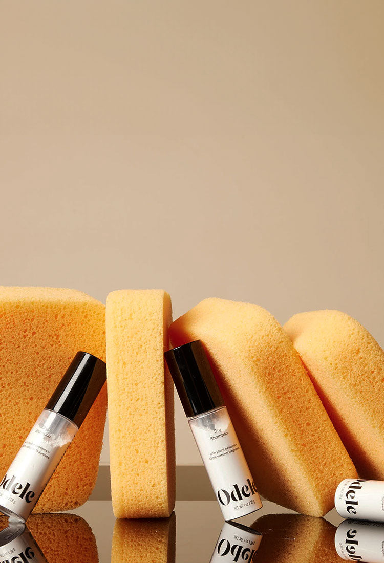 dry shampoo bottles with dry sponges