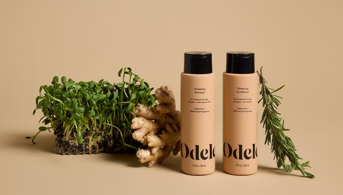 Bottles of Odele Thickening Shampoo and Conditioner stand on a beige surface, surrounded by fresh rosemary, a bunch of ginger root, and a bunch of green sprouts.