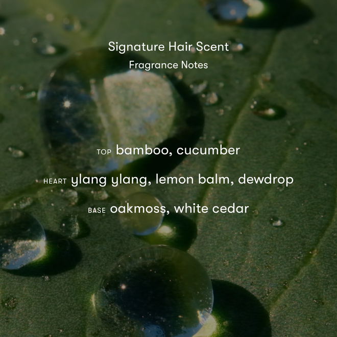 A close-up of water droplets on a green leaf captures the freshness of Signature Hair Scent: top notes—cucumber, bamboo; heart—ylang ylang, lemon balm, dewdrop; base—oakmoss, white cedar—for perfectly scented hair.