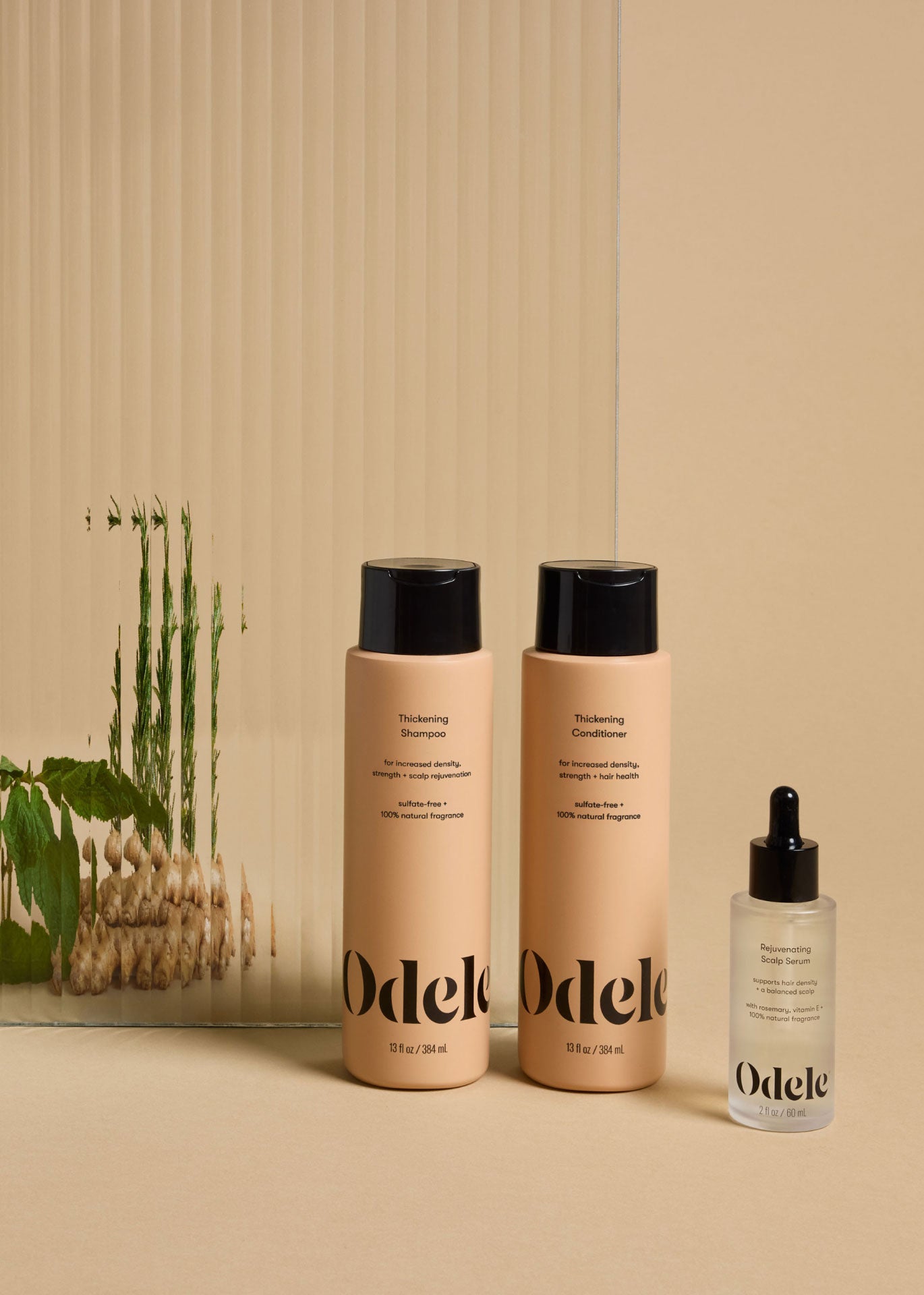 Award Winning Clean Hair Care for Everyone | Odele Beauty