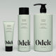 Three light green bottles of Smoothing Shampoo in different sizes are lined up, featuring labels with product details and black caps or pump dispensers—ideal for frizz control and enhancing your hair’s natural texture.